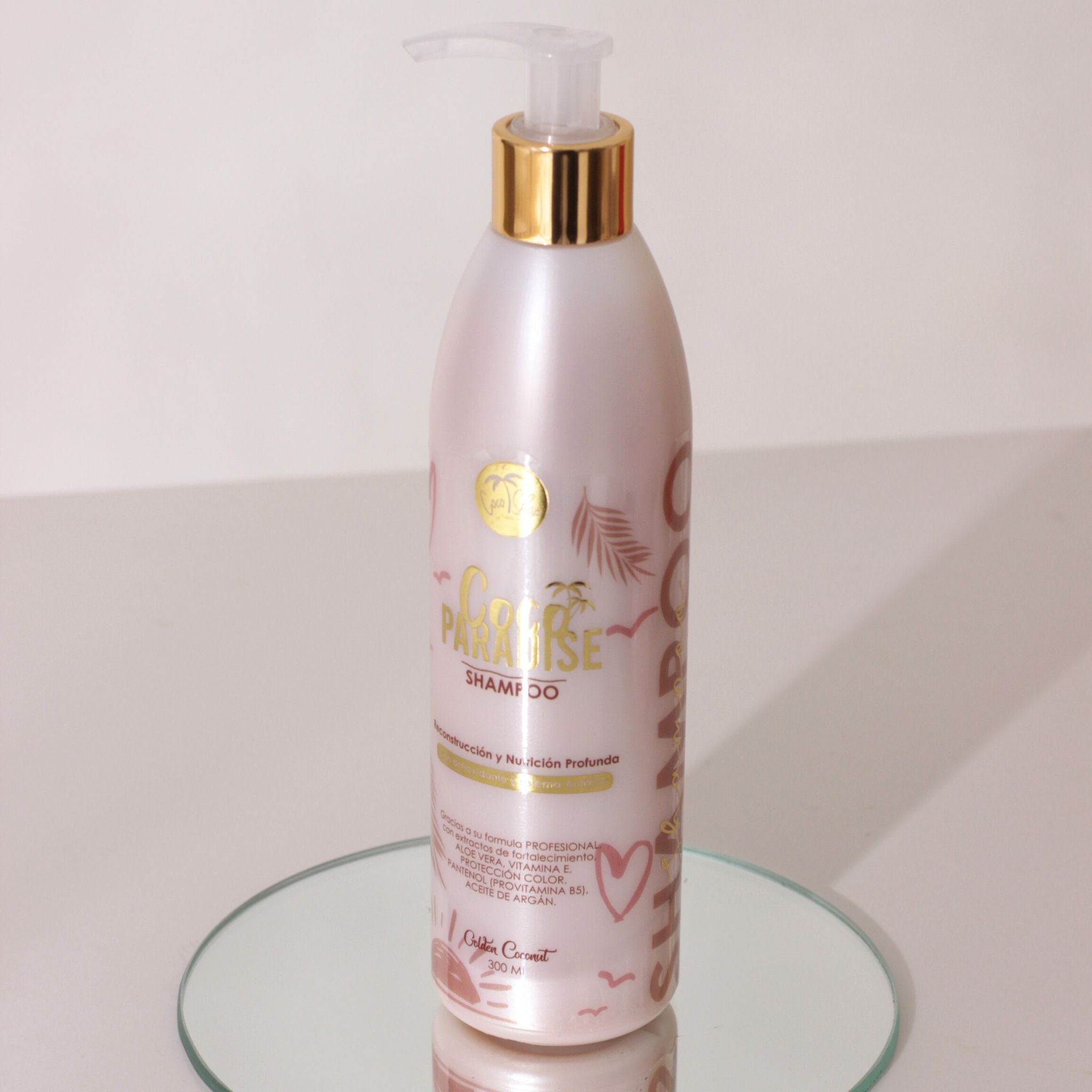 Kit Bye Bye Frizz - Golden Coconut
